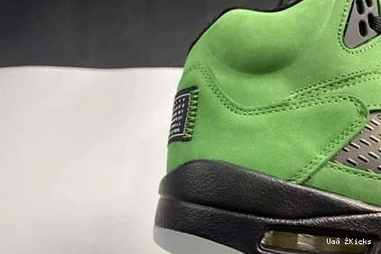 5 DailyWear CK6631-307 Air 5 Air Jordan 598 Jordan “Oregon” 0715